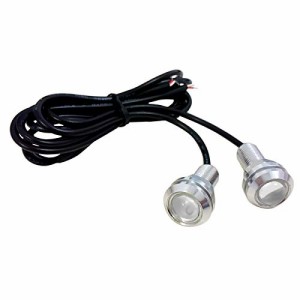 【2個入り】 防水 大玉 LED スポットライト 青色 12V 18mm (銀色ソケット)