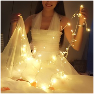 屋外のガーランドの結婚披露宴の装飾のための3M 20leds LEDのひもランプの電池式の防水ライト