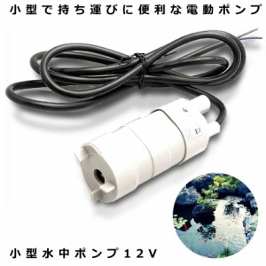 水中ポンプ 小型 12V 揚程5m 汲み上げ 11000rpm 洗車 釣り 水やり アウトドア 水槽 キャンプ 流量600L/H 給水 水中 陸上 アウトドア JT-5