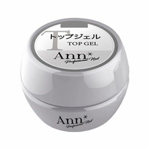 Ann Professional トップジェル 4g 【トップジェル/ジェルネイル/ネイル用品】
