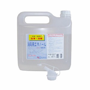 消毒用エタノール 5L 【消毒衛生用品/ネイルサロン備品/ネイル用品】