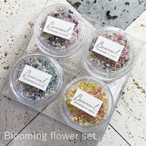 Bonnail blooming flower set 【ネイルアート/ドライフラワー/セット/ジェルネイル/ネイルパーツ/押し花/ネイル用品】