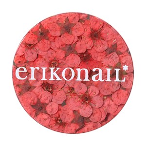 erikonail ジュエリーコレクション ERI-133 ドライフラワー レッド 20枚