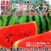 ���I��ʃX�C�J ��7�`9kg 1�ʓ��� �����K�i ��t���Y ��ʃT�C�Y �D�i�`�G�i �x���E���c�E�D����n�߂Ƃ����������w�̎Y�n���ւ�{�̖��I