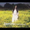 [CD]/JЂƂ/Destiny -z̉- /  -tears of love- [WPbgA/CD+DVD]/AVCD-30976