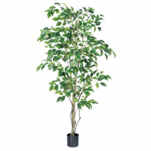 人工観葉植物 ファイカスツリー （ポット付き） グリーン 高さ150cm （P284-a50858) （代引き不可） インテリアグリーン フェイクグリー