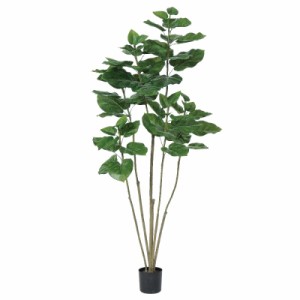 人工観葉植物 ウンベラータ （ポット付き） グリーン 高さ150cm （P277-a50936) （代引き不可） インテリアグリーン フェイクグリーン