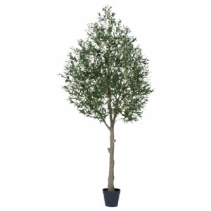 人工観葉植物 オリーブ （ポット付き） オリーブ 高さ300cm （P281-a51020) （代引き不可） インテリアグリーン フェイクグリーン