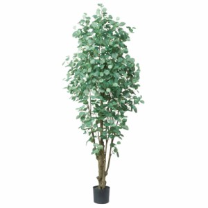 人工観葉植物 ユーカリ （ポット付き） グリーン 高さ225cm （P283-a51042) （代引き不可） インテリアグリーン フェイクグリーン