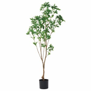 人工観葉植物 アセビ （ポット付き） グリーン 高さ150cm （P287-a51114) （代引き不可） インテリアグリーン フェイクグリーン