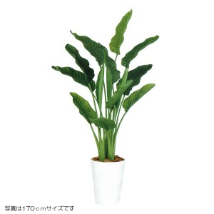 人工観葉植物 ストレリチア・オーガスタ MIX 200cm 高さ200cm （P209-dt99172) （代引き不可） インテリアグリーン フェイクグリーン