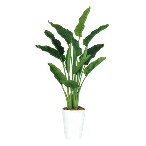 人工観葉植物 ストレリチア・オーガスタ MIX 170cm 高さ170cm （P209-dt99174) （代引き不可） インテリアグリーン フェイクグリーン