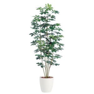 人工観葉植物 シェフレラ 180cm 高さ180cm （P209-dt98889) （き