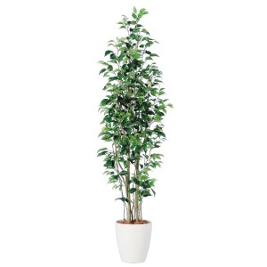 人工観葉植物 ベンジャミンスリム FST 180cm 高さ180cm （P215-dt98647