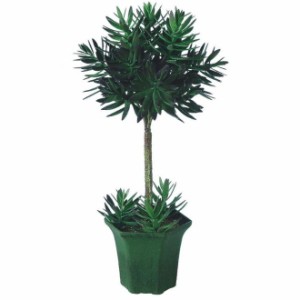 人工観葉植物 エケベリアトピアリー 簡易ポット付き 高さ50cm （P114-91144) （代引き不可） インテリアグリーン フェイクグリーン