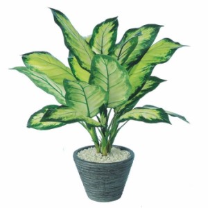 人工観葉植物 ディフェンバギアカミーラ ポット付き 高さ50cm （P107-91459) （代引き不可） インテリアグリーン フェイクグリーン