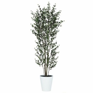 人工観葉植物 ベンジャミンバロック FST 180 ポット付き 高さ180cm （P73-91811) （代引き不可） インテリアグリーン フェイクグリーン