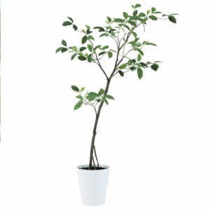 人工観葉植物 ガジュマル FST 120 ポット付き 高さ120cm （P51-91814) （代引き不可） インテリアグリーン フェイクグリーン