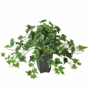 人工観葉植物 グレイシアアイビー ポット付き 高さ35cm （P105-91843) （代引き不可） インテリアグリーン フェイクグリーン