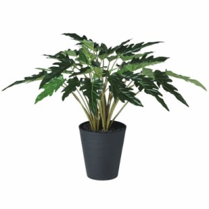 人工観葉植物 クッカバラ ポット付き 高さ50cm （P111-91891) （代引き不可） インテリアグリーン フェイクグリーン