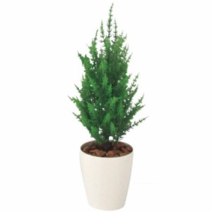 人工観葉植物 ゴールドクレスト GREEN 70 ポット付き 高さ70cm （P81-98853) （代引き不可） インテリアグリーン フェイクグリーン