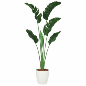 人工観葉植物 ストレチア・オーガスタ 200 ポット付き 高さ200cm （P89-99163) （代引き不可） インテリアグリーン フェイクグリーン