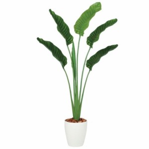 人工観葉植物 ストレチア・オーガスタ 160 ポット付き 高さ160cm （P89-99166) （代引き不可） インテリアグリーン フェイクグリーン