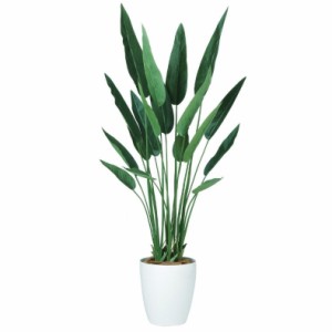人工観葉植物 ストレチア・レギネ 130 ポット付き 高さ130cm （P91-99178) （代引き不可） インテリアグリーン フェイクグリーン