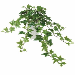 人工観葉植物 セージアイビー ポット付き 高さ30×長さ45cm （P105-99182) （代引き不可） インテリアグリーン フェイクグリーン