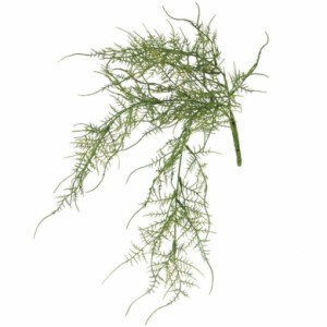 人工観葉植物 アスパラガス ブッシュ 長さ50cm （P140-99257) （代引き不可） インテリアグリーン フェイクグリーン