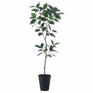 人工観葉植物 デコラゴム FST 180 ポット付き 高さ180cm （P50-99387) （代引き不可） インテリアグリーン フェイクグリーン