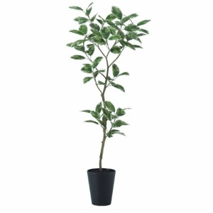 人工観葉植物 デコラトリカラー FST 180 ポット付き 高さ180cm （P50-99390) （代引き不可） インテリアグリーン フェイクグリーン