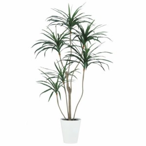 人工観葉植物 コンシンネ 180 ポット付き 高さ180cm （P62-99400) （代引き不可） インテリアグリーン フェイクグリーン