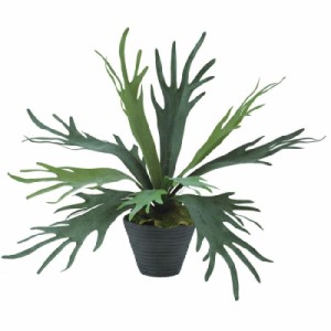 人工観葉植物 コウモリラン ポット付き 高さ50cm （P112-99435) （代引き不可） インテリアグリーン フェイクグリーン