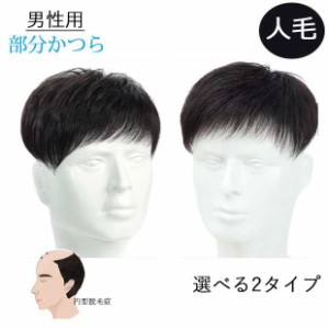 部分ウィッグ メンズウィッグ かつら ヘアピース ポイントウィッグ 付け毛 脱毛症 薄毛 白髪隠れ トップカバー