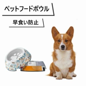 フードボウル 早食い防止 猫 食器 犬 ペット 餌入れ お皿 ごはん皿 脚付 食べやすい 猫用 餌皿 ねこ ペットフード ボウル ペット用 フ