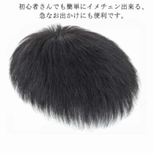 ヘアピース メンズ用 トップピース トップカバー メンズ用 メンズ 部分ウィッグ つむじ 白髪隠し ショート 前髪ウィッグ トップカバー 増