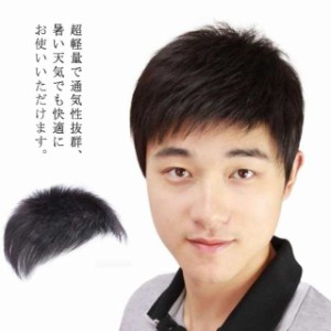 男性用ウィッグ トップカバー 人毛100％ かつら ヘアピース メンズ ポイントウィッグ 部分ウィッグ 円形脱毛症 白髪隠し 薄毛 抜け毛 増