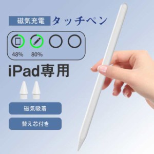 ワイヤレス充電 磁気吸着 タッチペン iPad ペンシル 極細 スタイラスペン iPad 第10世代 ペンシル 第9世代 Pro