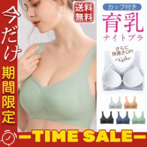 冷感タイプ登場 ブラジャー ノンワイヤー ナイトブラ 育乳 バストアップ ブラジャー 大きいサイズ 速乾 伸縮 耐久 レディース