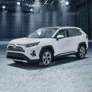 rav4 50系 ニュー RAV4 カスタム パーツ アクセサリー rav4 ドアロアガーニッシュ サイドガーニッシュ