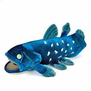 カロラータ シーラカンス ぬいぐるみ (Sサイズ/やさしい手触り) リアル 古代魚 魚 おもちゃ お人形 ギフト プレゼント 誕生日 クリスマス