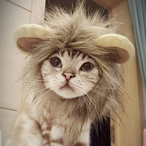 PETLESO 猫被り物 猫用帽子 猫 ライオン ウィッグ 変身 かぶりもの グッズ S …