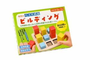 幼児のパズル道場 ビルディング