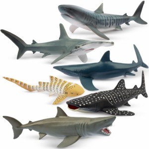 TOYMANY 動物フィギュア 6PCSサメフィギュア 海洋動物フィギュアセット 12cm〜14cm 生物 魚類 海の生き物 リアルな動物模型 サメ好