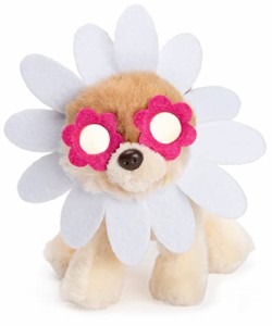 ガンド GUND ぬいぐるみ GUND Boo, The World’s Cutest Dog, Itty Bitty Boo Daisy Flower #61, Stuffed An