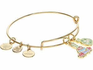 アレックスアンドアニ アメリカ アクセサリー Alex and Ani SpongeBob Mr. Krabs Duo Charm Brac