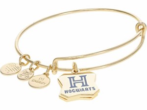 アレックスアンドアニ アメリカ アクセサリー Alex and Ani Harry Potter, Wizards Welcome Duo 