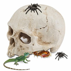 アクアリウム 水槽 置物 Aufeeky Halloween Human Skull Reptile Hide, White Reptile Hides and Caves for