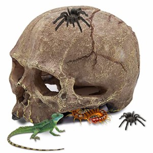 アクアリウム 水槽 置物 Aufeeky Halloween Human Skull Reptile Hide, Grey Reptile Hides and Caves for 